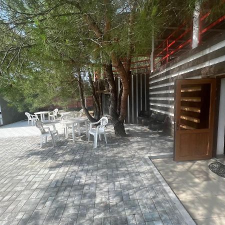 Mini-Hotel Forest Club Pitsunda Eksteriør billede