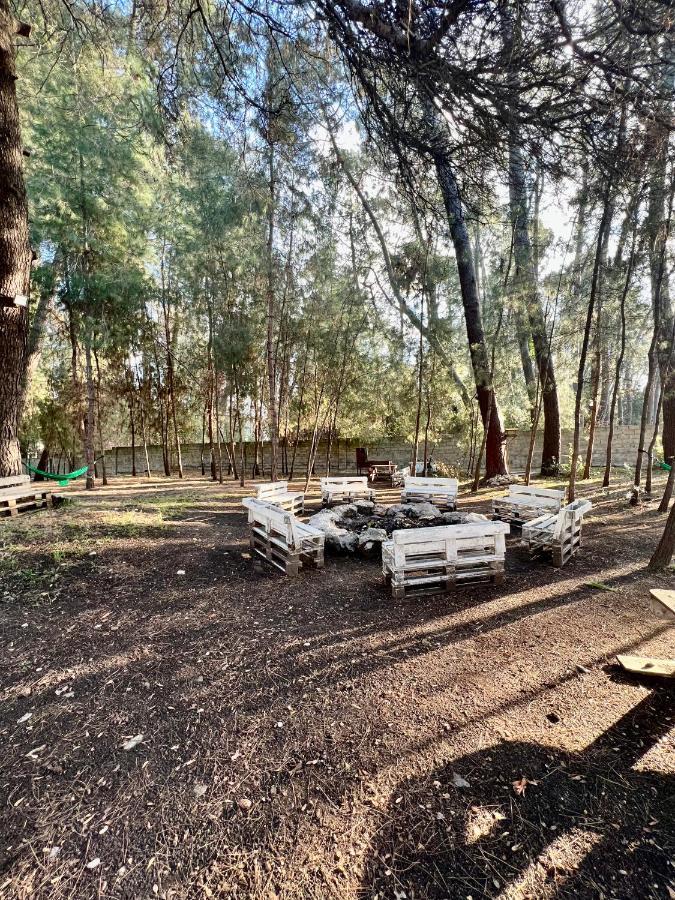 Mini-Hotel Forest Club Pitsunda Eksteriør billede