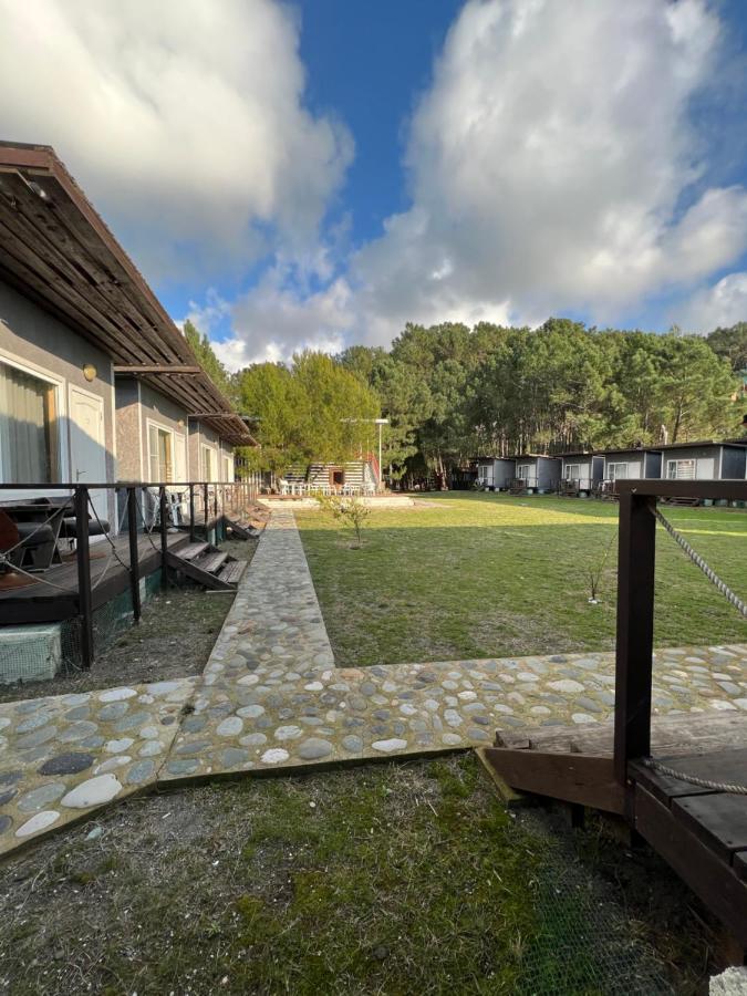 Mini-Hotel Forest Club Pitsunda Eksteriør billede