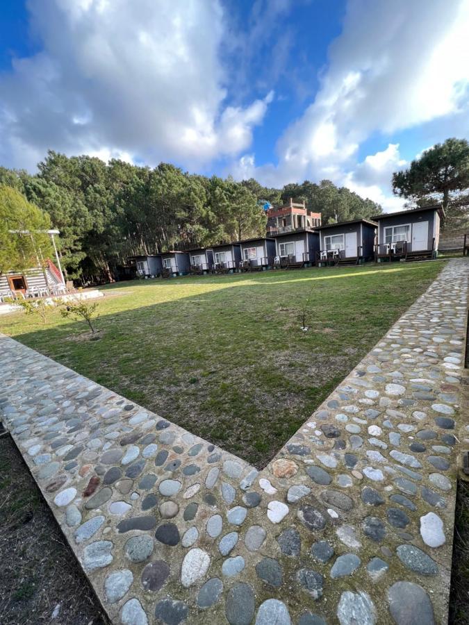 Mini-Hotel Forest Club Pitsunda Eksteriør billede