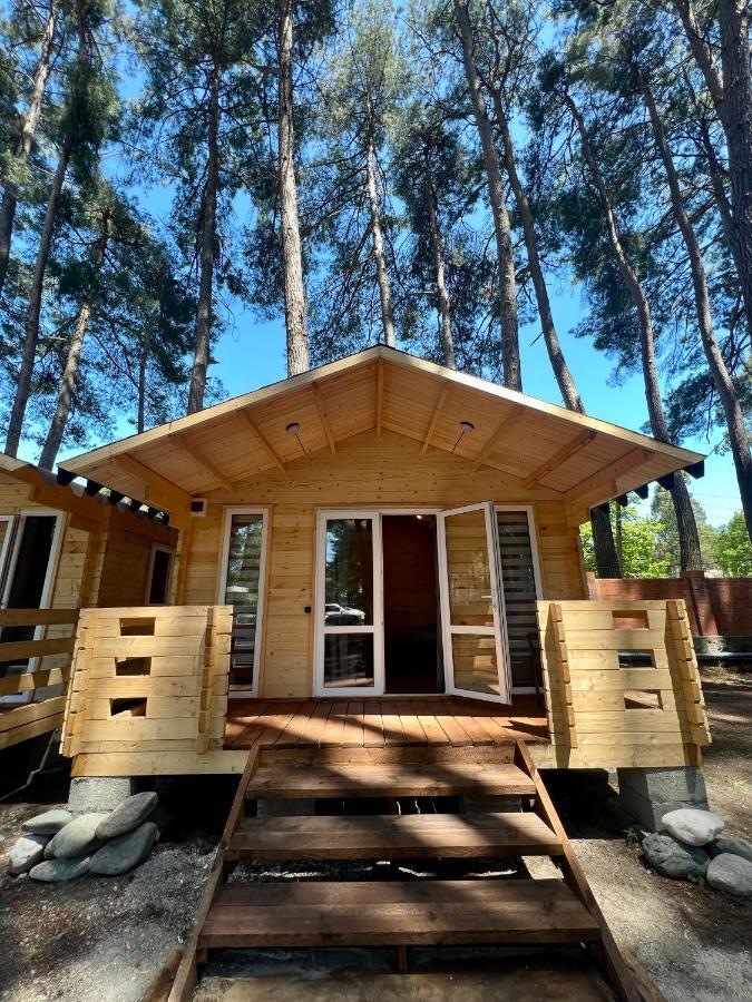 Mini-Hotel Forest Club Pitsunda Eksteriør billede